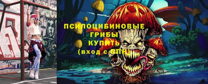 Галлюциногенные грибы Magic Shrooms  где купить наркотик  Болгар 